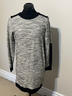 ZARA W&B COLLECTION Dress Back Zip